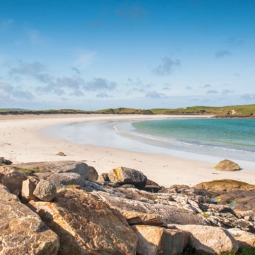 beachdogsbay