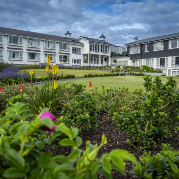 A view of Connemara's mountainous landscape with a road winding through lush greenery beneath a clear blue sky, showcasing natural beauty and serenity.