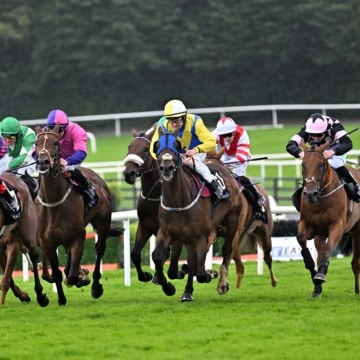 Horse Racing, Galway Races, Ballybrit Race Track, Co Galway_master