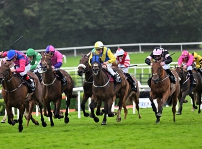 Horse Racing, Galway Races, Ballybrit Race Track, Co Galway_master