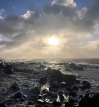 Shoreline