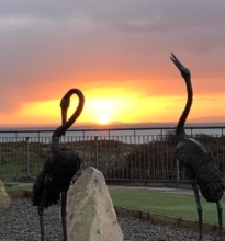 SunUpConnemara