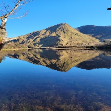View From Kylemore Abbey, Connemara, Co Galway_master